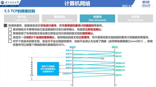 计算机网络运输层 构建高效数据交付的核心枢纽